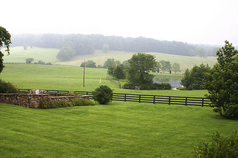 Rolling Hills
